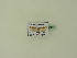  ( - BC ZSM Lep 94886)  @11 [ ] CreativeCommons - Attribution Non-Commercial Share-Alike (2016) SNSB, Staatliche Naturwissenschaftliche Sammlungen Bayerns ZSM (SNSB, Zoologische Staatssammlung Muenchen)