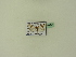  ( - BC ZSM Lep 94894)  @12 [ ] CreativeCommons - Attribution Non-Commercial Share-Alike (2016) SNSB, Staatliche Naturwissenschaftliche Sammlungen Bayerns ZSM (SNSB, Zoologische Staatssammlung Muenchen)