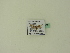  ( - BC ZSM Lep 94897)  @12 [ ] CreativeCommons - Attribution Non-Commercial Share-Alike (2016) SNSB, Staatliche Naturwissenschaftliche Sammlungen Bayerns ZSM (SNSB, Zoologische Staatssammlung Muenchen)