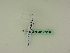  ( - BC ZSM Lep 95288)  @11 [ ] CreativeCommons - Attribution Non-Commercial Share-Alike (2016) SNSB, Staatliche Naturwissenschaftliche Sammlungen Bayerns ZSM (SNSB, Zoologische Staatssammlung Muenchen)