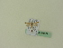  ( - BC ZSM Lep 95474)  @12 [ ] CreativeCommons - Attribution Non-Commercial Share-Alike (2016) SNSB, Staatliche Naturwissenschaftliche Sammlungen Bayerns ZSM (SNSB, Zoologische Staatssammlung Muenchen)