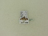  ( - BC ZSM Lep 95827)  @12 [ ] Unspecified (default): All Rights Reserved  SNSB, Staatliche Naturwissenschaftliche Sammlungen Bayerns ZSM (SNSB, Zoologische Staatssammlung Muenchen)