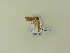  ( - BC ZSM Lep 96033)  @12 [ ] Unspecified (default): All Rights Reserved  SNSB, Staatliche Naturwissenschaftliche Sammlungen Bayerns ZSM (SNSB, Zoologische Staatssammlung Muenchen)