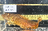  ( - BHAK-12826)  @11 [ ] CreativeCommons Attribution Non-Commercial No Derivatives (2025) Matt Lemay Hakai Institute
