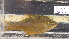  ( - BHAK-12772)  @11 [ ] CreativeCommons Attribution Non-Commercial No Derivatives (2025) Matt Lemay Hakai Institute