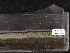  ( - BHAK-10644)  @11 [ ] CreativeCommons Attribution Non-Commercial No Derivatives (2021) Matt Lemay Hakai Institute