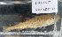  ( - BHAK-12729)  @11 [ ] CreativeCommons Attribution Non-Commercial No Derivatives (2025) Matt Lemay Hakai Institute