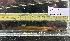  ( - BHAK-12740)  @11 [ ] CreativeCommons Attribution Non-Commercial No Derivatives (2025) Matt Lemay Hakai Institute