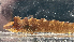  ( - BHAK-12836)  @11 [ ] CreativeCommons Attribution Non-Commercial No Derivatives (2025) Matt Lemay Hakai Institute