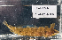  ( - BHAK-12837)  @11 [ ] CreativeCommons Attribution Non-Commercial No Derivatives (2025) Matt Lemay Hakai Institute
