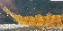  ( - BHAK-12837)  @11 [ ] CreativeCommons Attribution Non-Commercial No Derivatives (2025) Matt Lemay Hakai Institute