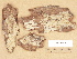  (Aphanobasidium pseudotsugae - H6012442)  @11 [ ] Copyright (2012) Diana Weckman Botanical Museum, Finnish Museum of Natural History, University of Helsinki