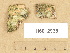  ( - H6012935)  @11 [ ] Copyright (2012) Diana Weckman Botanical Museum, Finnish Museum of Natural History, University of Helsinki