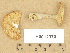  ( - H6012970)  @11 [ ] Copyright (2012) Diana Weckman Botanical Museum, Finnish Museum of Natural History, University of Helsinki