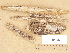  (Hyphoderma argillaceum - H6013329)  @11 [ ] Copyright (2012) Diana Weckman Botanical Museum, Finnish Museum of Natural History, University of Helsinki