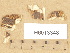  ( - H6013348)  @11 [ ] Copyright (2012) Diana Weckman Botanical Museum, Finnish Museum of Natural History, University of Helsinki