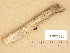  ( - H7026098)  @11 [ ] Copyright (2014) Diana Weckman Botanical Museum, Finnish Museum of Natural History, University of Helsinki