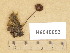  ( - H6045653)  @11 [ ] Copyright (2014) Diana Weckman Botanical Museum, Finnish Museum of Natural History, University of Helsinki