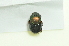  ( - UMKL-TG003)  @11 [ ] Unspecified (default): All Rights Reserved  Unspecified Unspecified