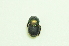  ( - UMKL-TG004)  @11 [ ] Unspecified (default): All Rights Reserved  Unspecified Unspecified
