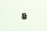  ( - UMKL-TG009)  @11 [ ] Unspecified (default): All Rights Reserved  Unspecified Unspecified