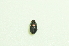  ( - UMKL-TG010)  @11 [ ] Unspecified (default): All Rights Reserved  Unspecified Unspecified