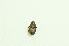  ( - UMKL-TG011)  @11 [ ] Unspecified (default): All Rights Reserved  Unspecified Unspecified