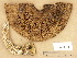 ( - H6032186)  @11 [ ] Copyright (2012) Diana Weckman Botanical Museum, Finnish Museum of Natural History, University of Helsinki