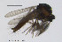  ( - FiCer104)  @13 [ ] CreativeCommons - Attribution Non-Commercial Share-Alike (2012) NTNU Museum of Natural History and Archaeology NTNU Museum of Natural History and Archaeology