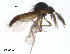  ( - FiCer108)  @12 [ ] CreativeCommons - Attribution Non-Commercial Share-Alike (2012) NTNU Museum of Natural History and Archaeology NTNU Museum of Natural History and Archaeology