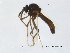  ( - FiCer11)  @12 [ ] CreativeCommons - Attribution Non-Commercial Share-Alike (2012) NTNU Museum of Natural History and Archaeology NTNU Museum of Natural History and Archaeology