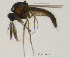  ( - FiCer113)  @13 [ ] CreativeCommons - Attribution Non-Commercial Share-Alike (2012) NTNU Museum of Natural History and Archaeology NTNU Museum of Natural History and Archaeology