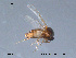  ( - FiCer120)  @13 [ ] CreativeCommons - Attribution Non-Commercial Share-Alike (2012) NTNU Museum of Natural History and Archaeology NTNU Museum of Natural History and Archaeology