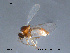  ( - FiCer125)  @12 [ ] CreativeCommons - Attribution Non-Commercial Share-Alike (2012) NTNU Museum of Natural History and Archaeology NTNU Museum of Natural History and Archaeology