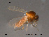  ( - FiCer147)  @12 [ ] CreativeCommons - Attribution Non-Commercial Share-Alike (2012) NTNU Museum of Natural History and Archaeology NTNU Museum of Natural History and Archaeology