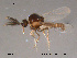  ( - FiCer150)  @12 [ ] CreativeCommons - Attribution Non-Commercial Share-Alike (2012) NTNU Museum of Natural History and Archaeology NTNU Museum of Natural History and Archaeology
