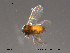  ( - FiCer152)  @13 [ ] CreativeCommons - Attribution Non-Commercial Share-Alike (2012) NTNU Museum of Natural History and Archaeology NTNU Museum of Natural History and Archaeology