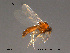  ( - FiCer159)  @13 [ ] CreativeCommons - Attribution Non-Commercial Share-Alike (2012) NTNU Museum of Natural History and Archaeology NTNU Museum of Natural History and Archaeology