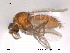  ( - FiCer164)  @13 [ ] CreativeCommons - Attribution Non-Commercial Share-Alike (2012) NTNU Museum of Natural History and Archaeology NTNU Museum of Natural History and Archaeology