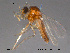  ( - FiCer174)  @13 [ ] CreativeCommons - Attribution Non-Commercial Share-Alike (2012) NTNU Museum of Natural History and Archaeology NTNU Museum of Natural History and Archaeology