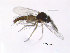  ( - FiCer20)  @13 [ ] CreativeCommons - Attribution Non-Commercial Share-Alike (2012) NTNU Museum of Natural History and Archaeology NTNU Museum of Natural History and Archaeology