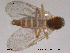  ( - FiCer206)  @13 [ ] CreativeCommons - Attribution Non-Commercial Share-Alike (2012) NTNU Museum of Natural History and Archaeology NTNU Museum of Natural History and Archaeology