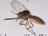 ( - FiCer216)  @12 [ ] CreativeCommons - Attribution Non-Commercial Share-Alike (2012) NTNU Museum of Natural History and Archaeology NTNU Museum of Natural History and Archaeology