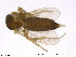  ( - FiCer238)  @12 [ ] CreativeCommons - Attribution Non-Commercial Share-Alike (2012) NTNU Museum of Natural History and Archaeology NTNU Museum of Natural History and Archaeology