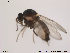  ( - FiCer244)  @12 [ ] CreativeCommons - Attribution Non-Commercial Share-Alike (2013) NTNU Museum of Natural History and Archaeology NTNU Museum of Natural History and Archaeology