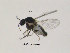  ( - FiCer63)  @12 [ ] CreativeCommons - Attribution Non-Commercial Share-Alike (2012) NTNU Museum of Natural History and Archaeology NTNU Museum of Natural History and Archaeology