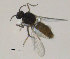  ( - FiCer65)  @13 [ ] CreativeCommons - Attribution Non-Commercial Share-Alike (2012) NTNU Museum of Natural History and Archaeology NTNU Museum of Natural History and Archaeology