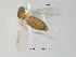  ( - FiCer73)  @12 [ ] CreativeCommons - Attribution Non-Commercial Share-Alike (2012) NTNU Museum of Natural History and Archaeology NTNU Museum of Natural History and Archaeology