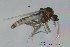  ( - FiCer86)  @12 [ ] CreativeCommons - Attribution Non-Commercial Share-Alike (2012) NTNU Museum of Natural History and Archaeology NTNU Museum of Natural History and Archaeology