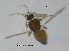  ( - FiCer89)  @12 [ ] CreativeCommons - Attribution Non-Commercial Share-Alike (2012) NTNU Museum of Natural History and Archaeology NTNU Museum of Natural History and Archaeology